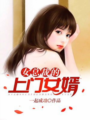 女总裁的上门女婿(王婿叶凡)